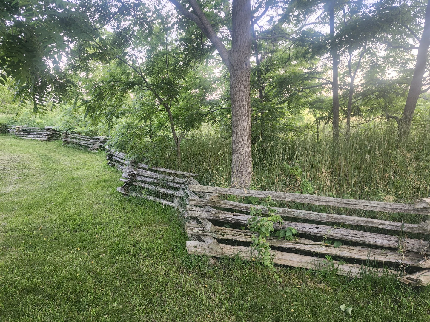 Authentic Cedar Fence Rails - photo 3