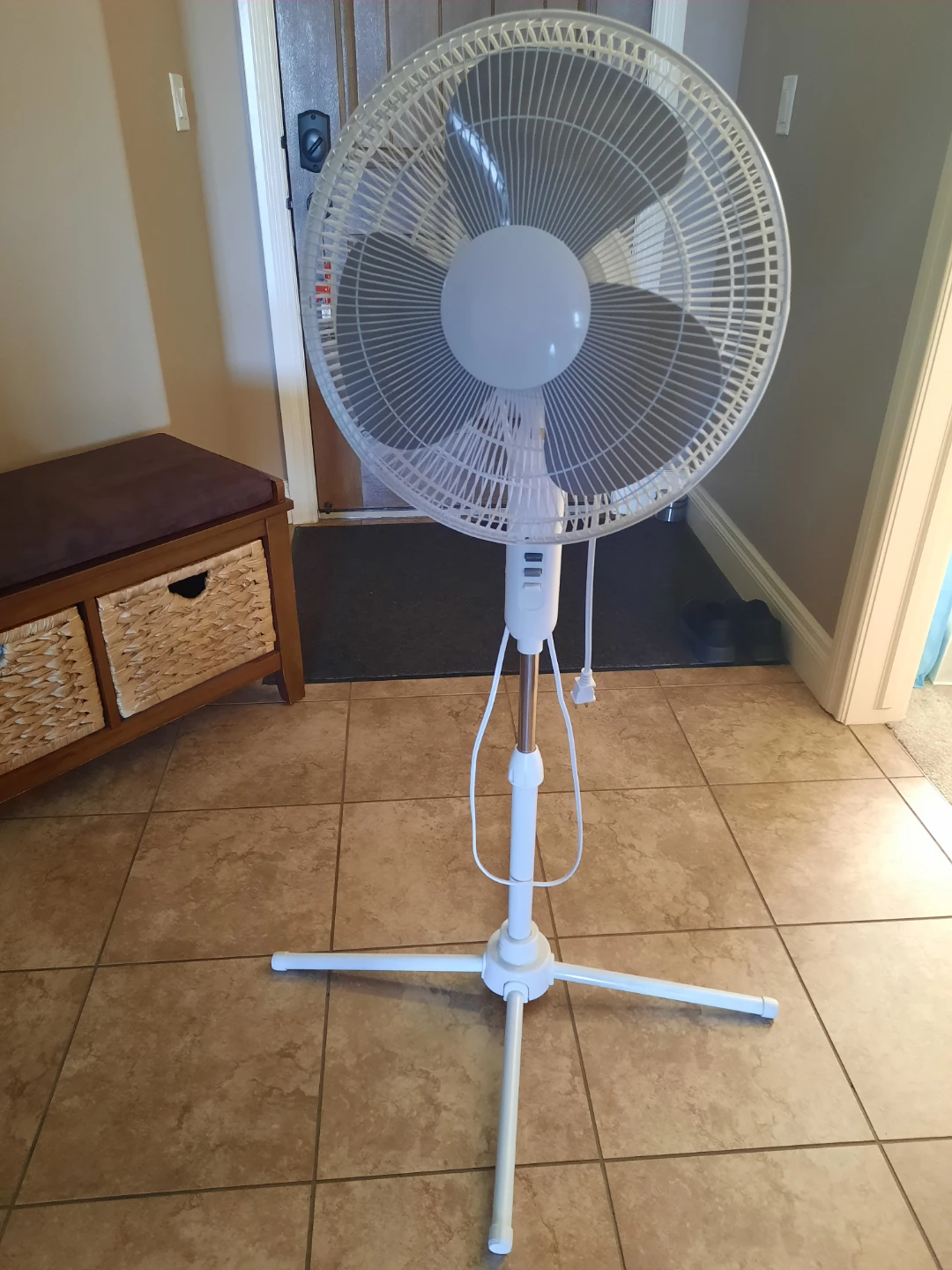 Pedestal fan