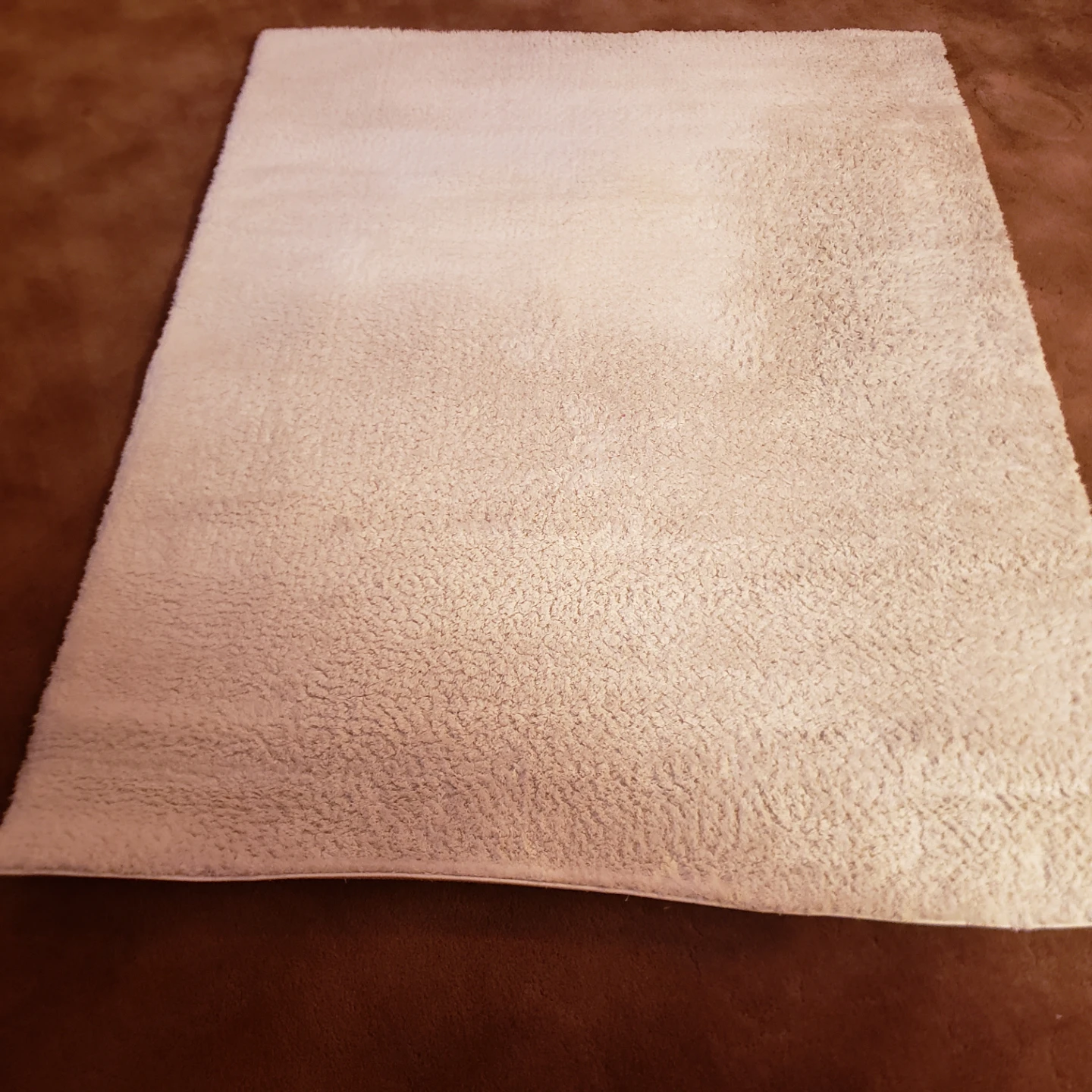 Dynamic Rugs Velvet Collection Area Rug