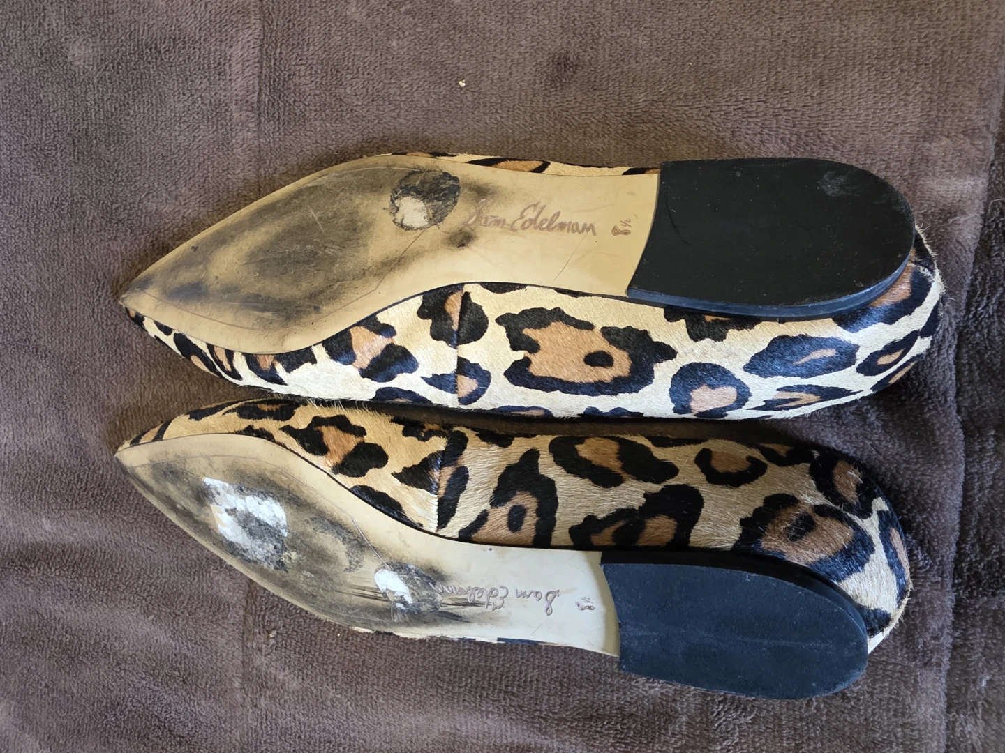 Sam Edelman Leopard Print Ballet Flats - photo 2