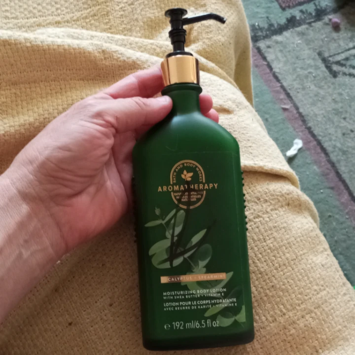 Bath & Body Works Eucalyptus Spearmint Moisturizing Body Lotion