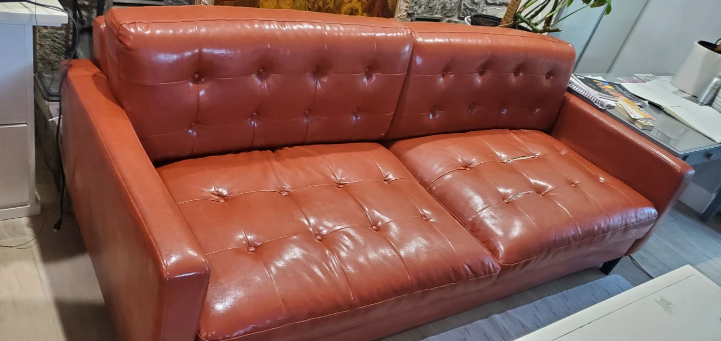 Free leather sofa