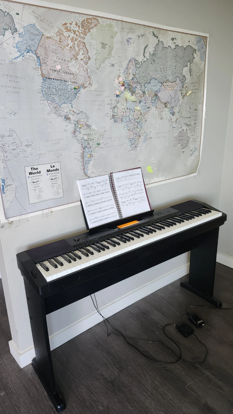 Casio CDP-220R Digital Keyboard with Stand - photo 5