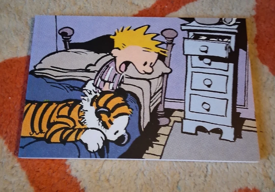 The Calvin and Hobbes Portable Compendium by Bill Watterson - photo 2