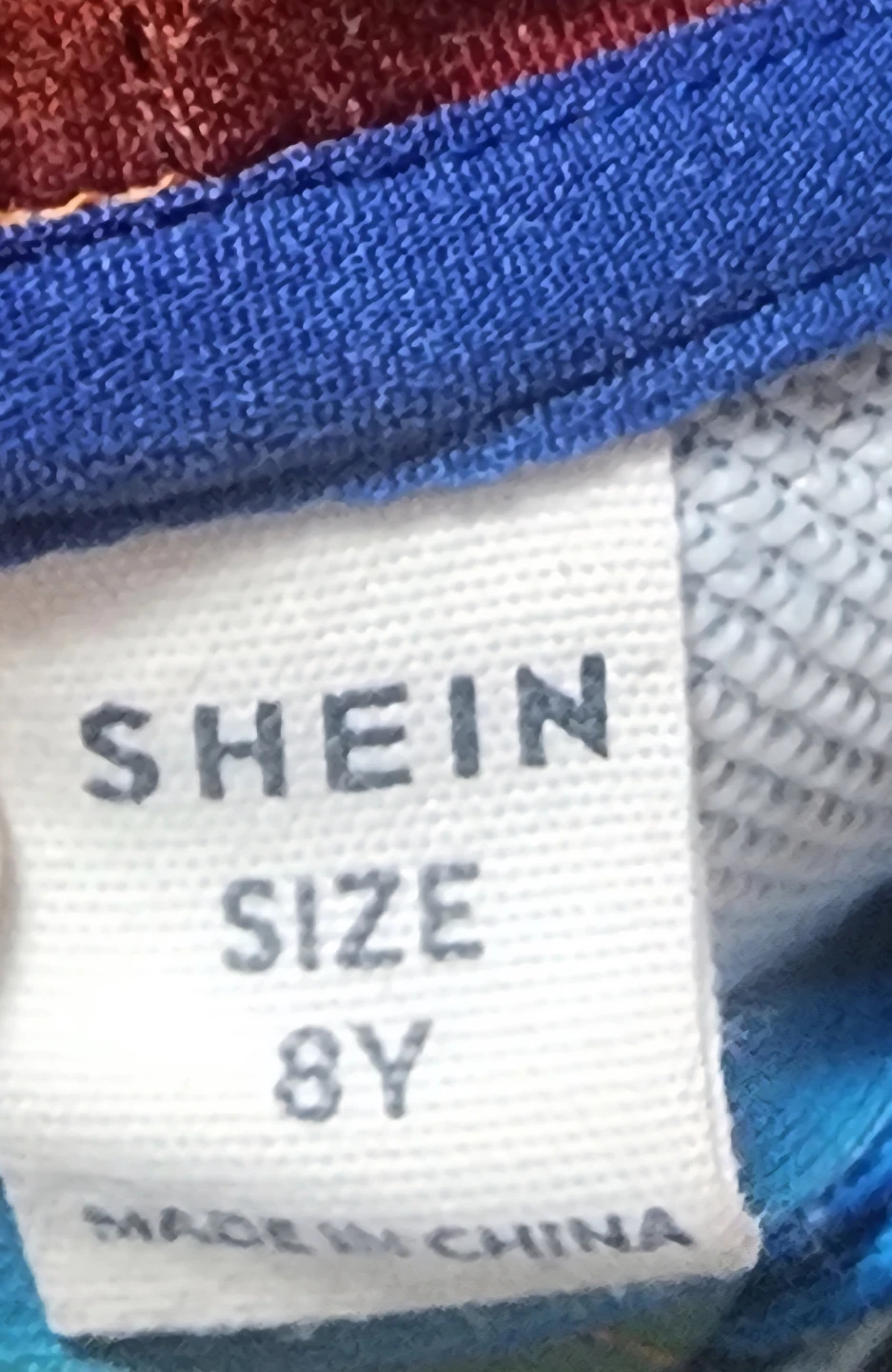SHEIN Kids Lion Graphic Hoodie Size 8Y - photo 3