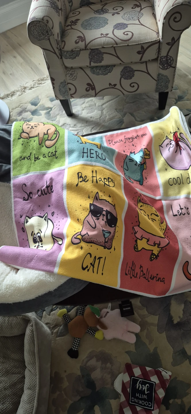 Cat bed and bonus kit - photo 2