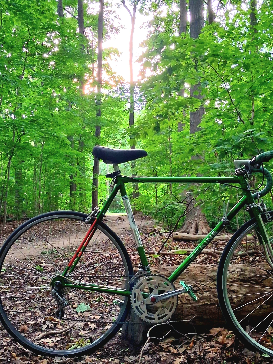 Green Sekine Road Bike