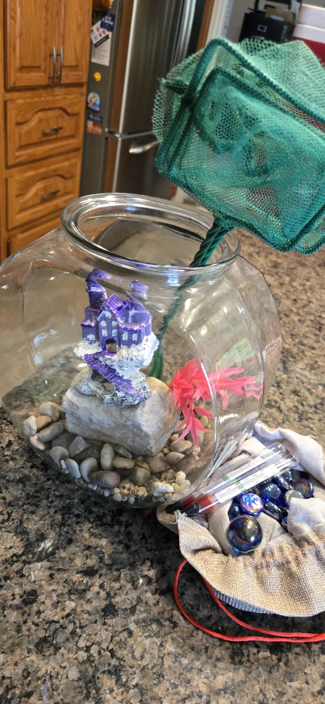Glass Fish Bowl with Castle Decor