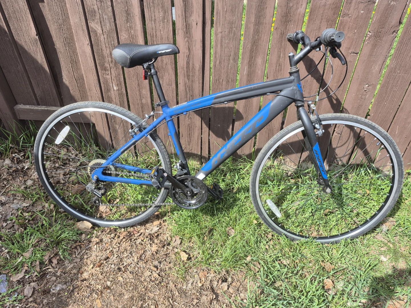 Blue Boys Bike
