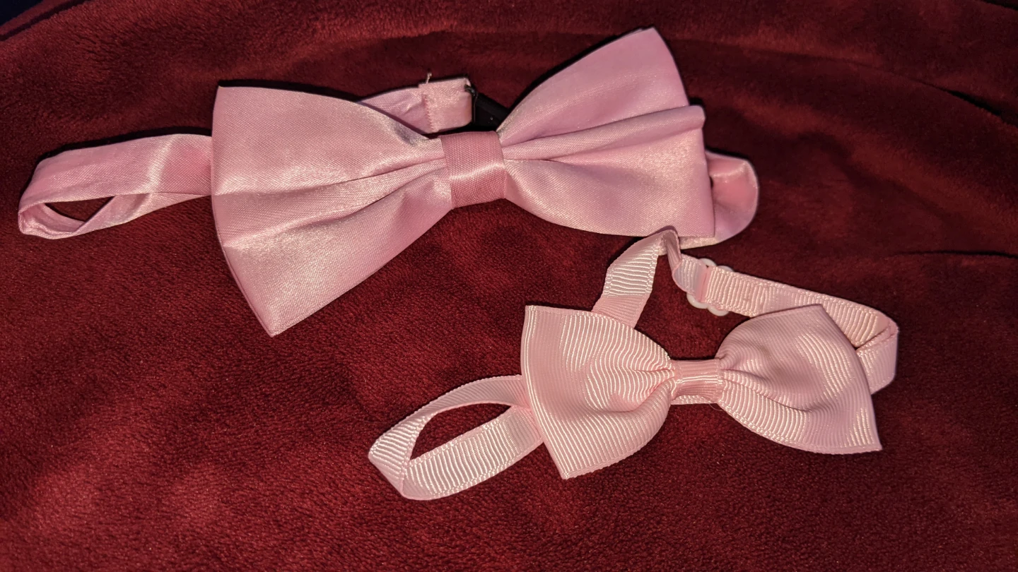 2 Pink Bow Ties for Pets or Humans ⚽