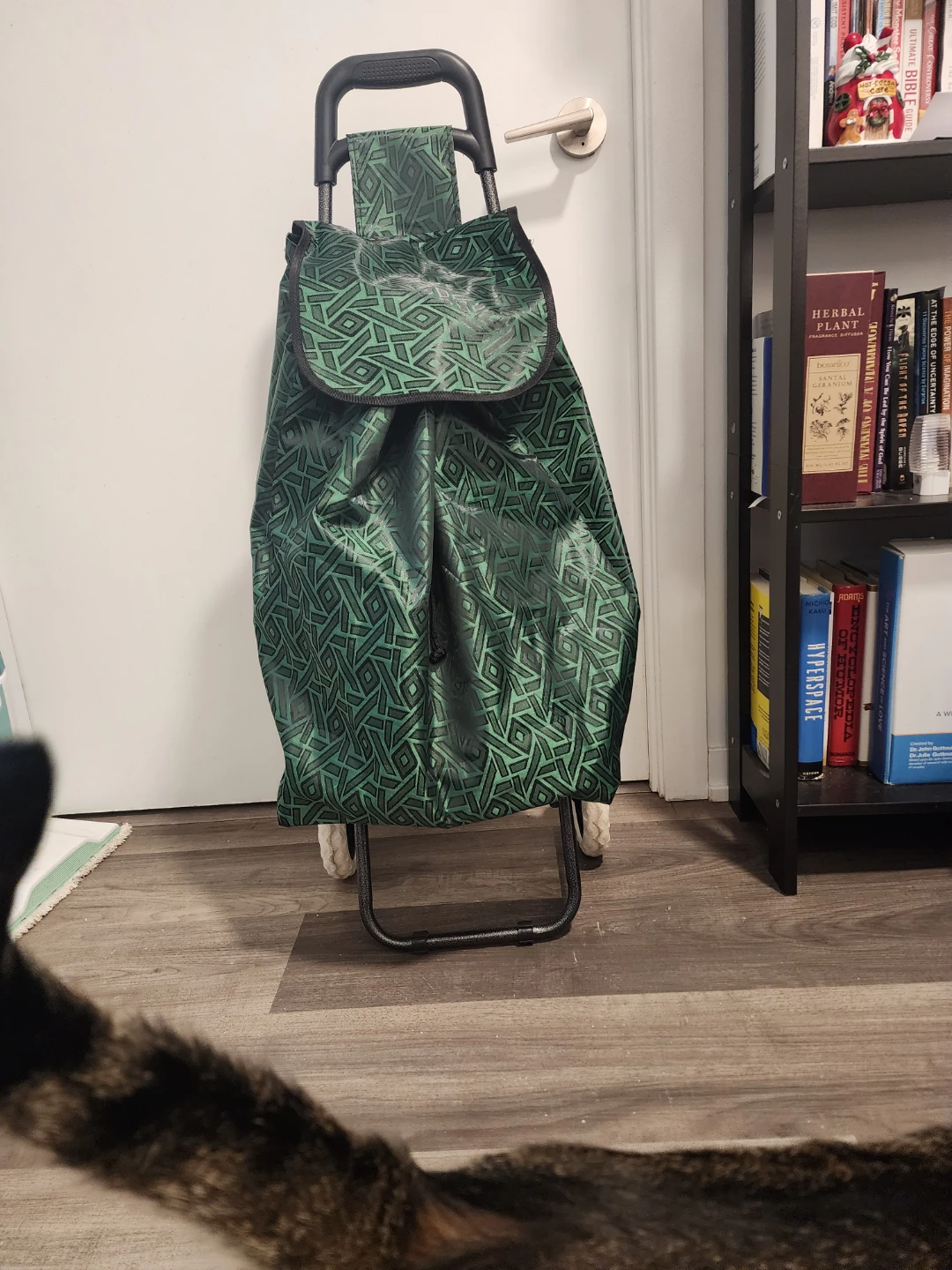 Green Geometric Shopping Cart