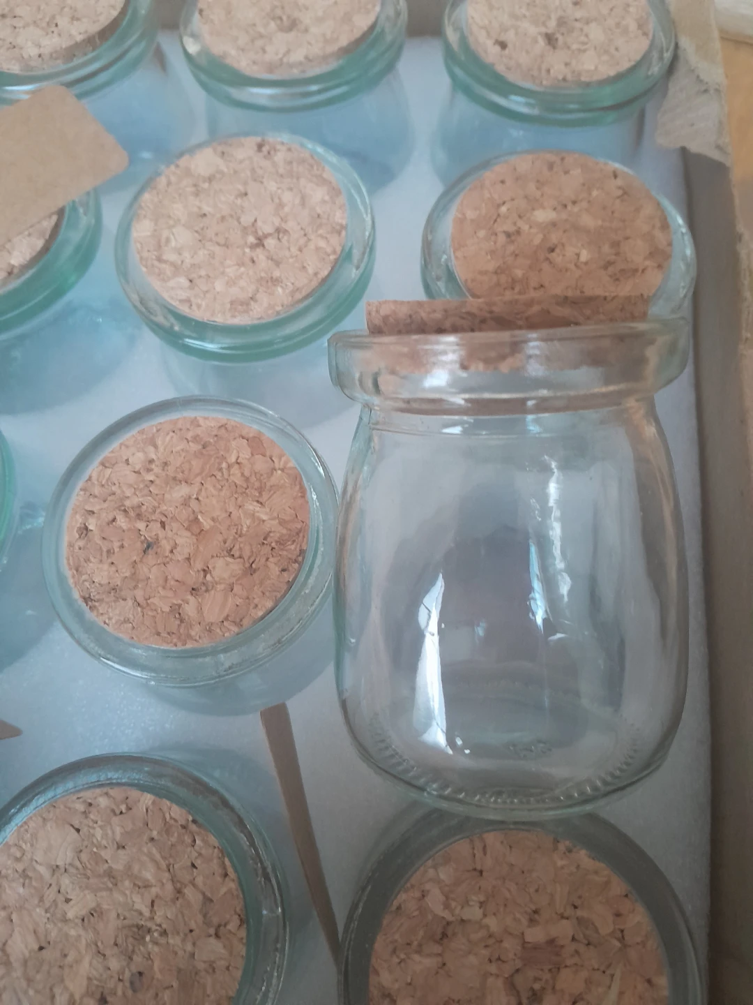 Glass Jars with Cork Lids and Twine  and Tags(Set of 40)