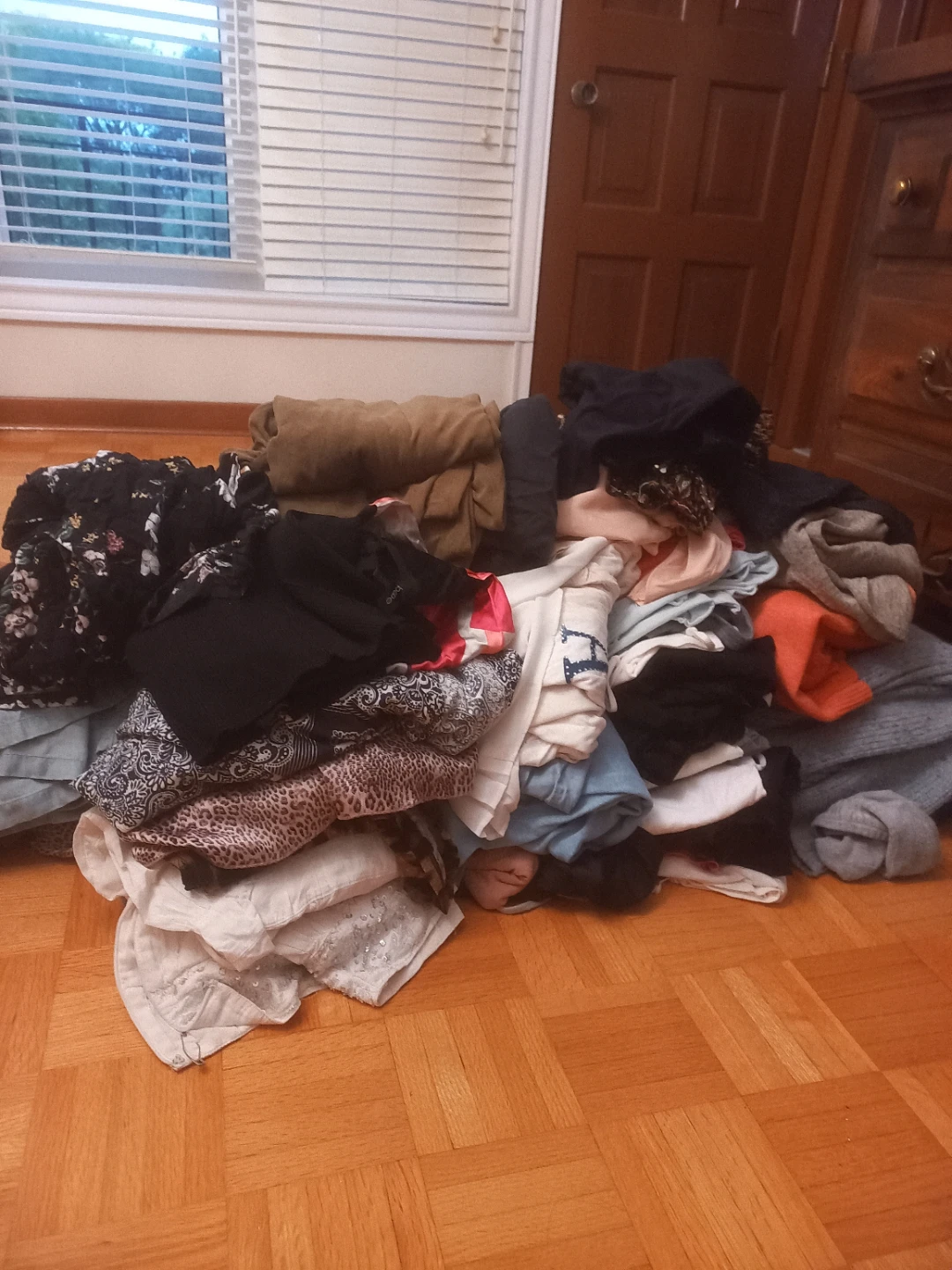FREE Pile of assorted women's clothing