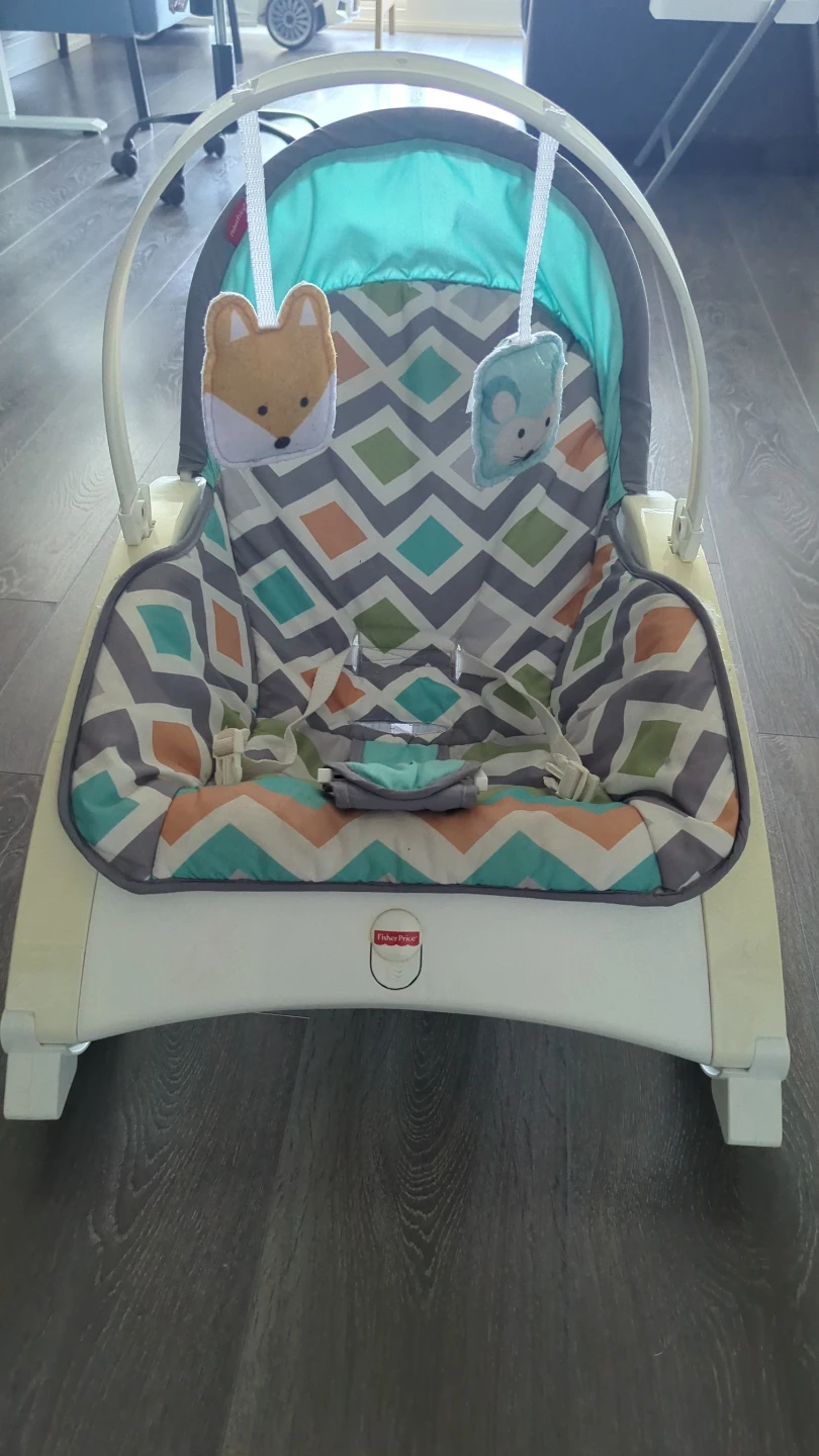 Fisher-Price Baby Bouncer Seat - photo 2