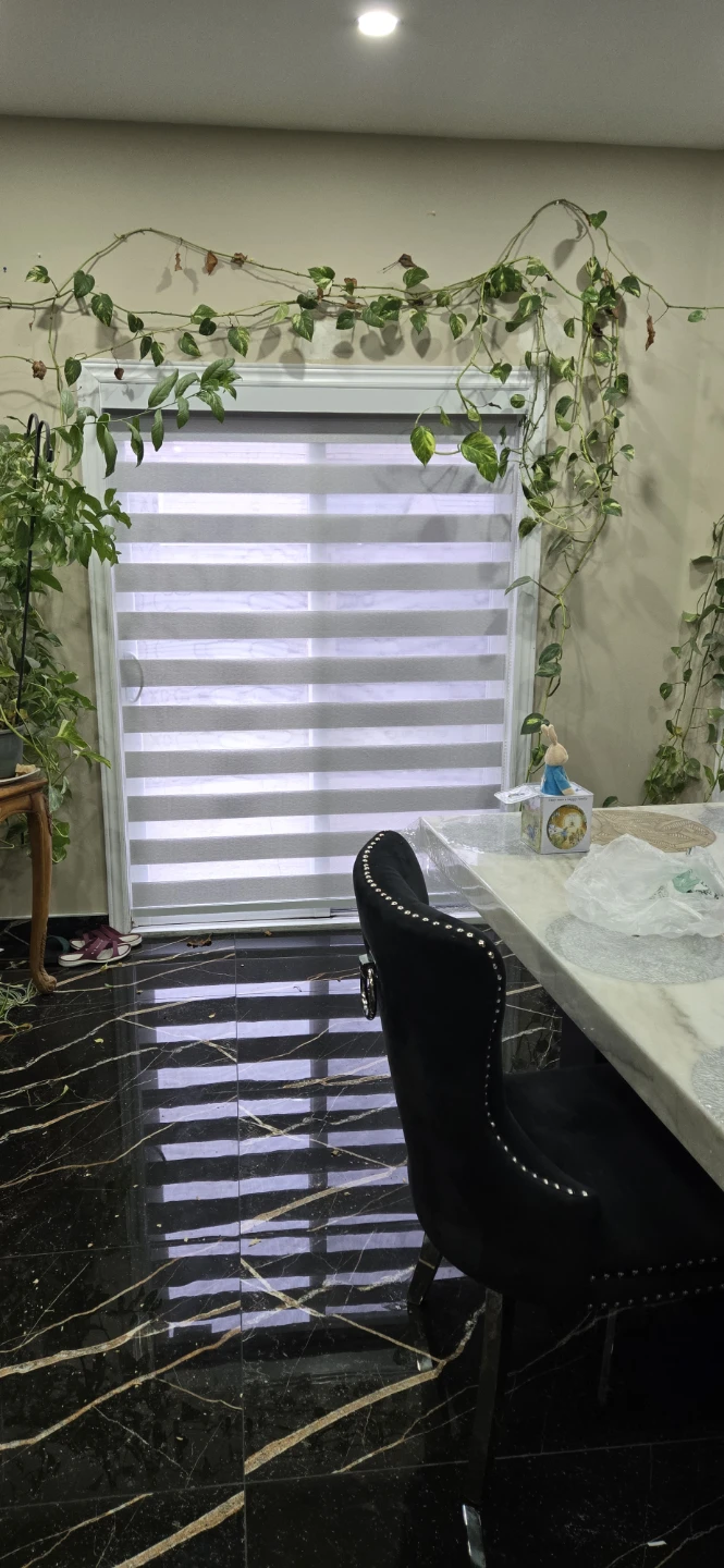 Zebra blinds