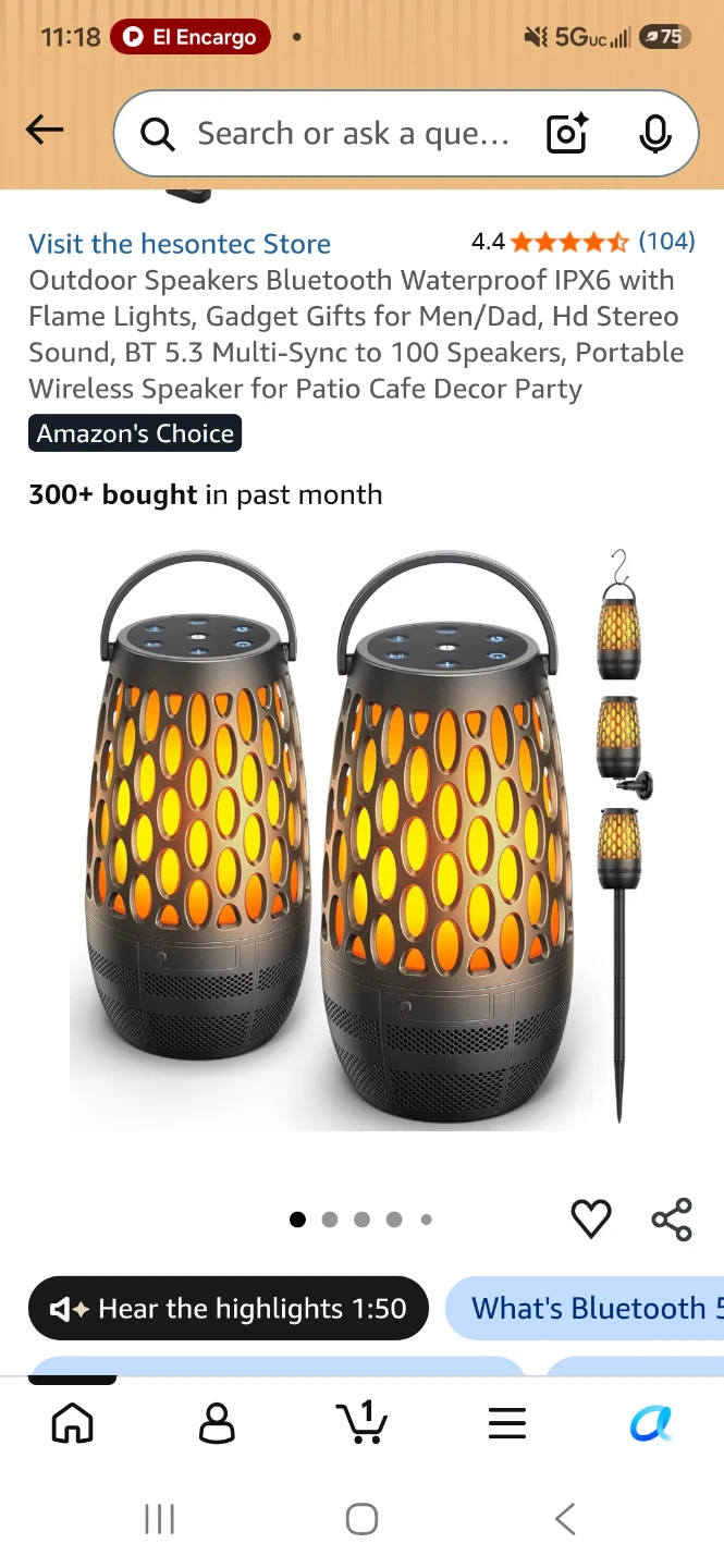 Outdoor Bluetooth Speaker with Flame Lights