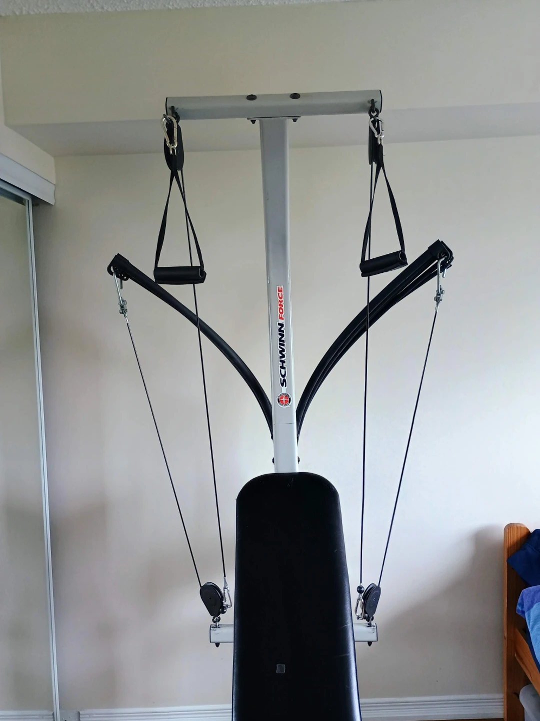⚽  💪 Schwinn Force Home 'Bowflex' Gym - photo 2