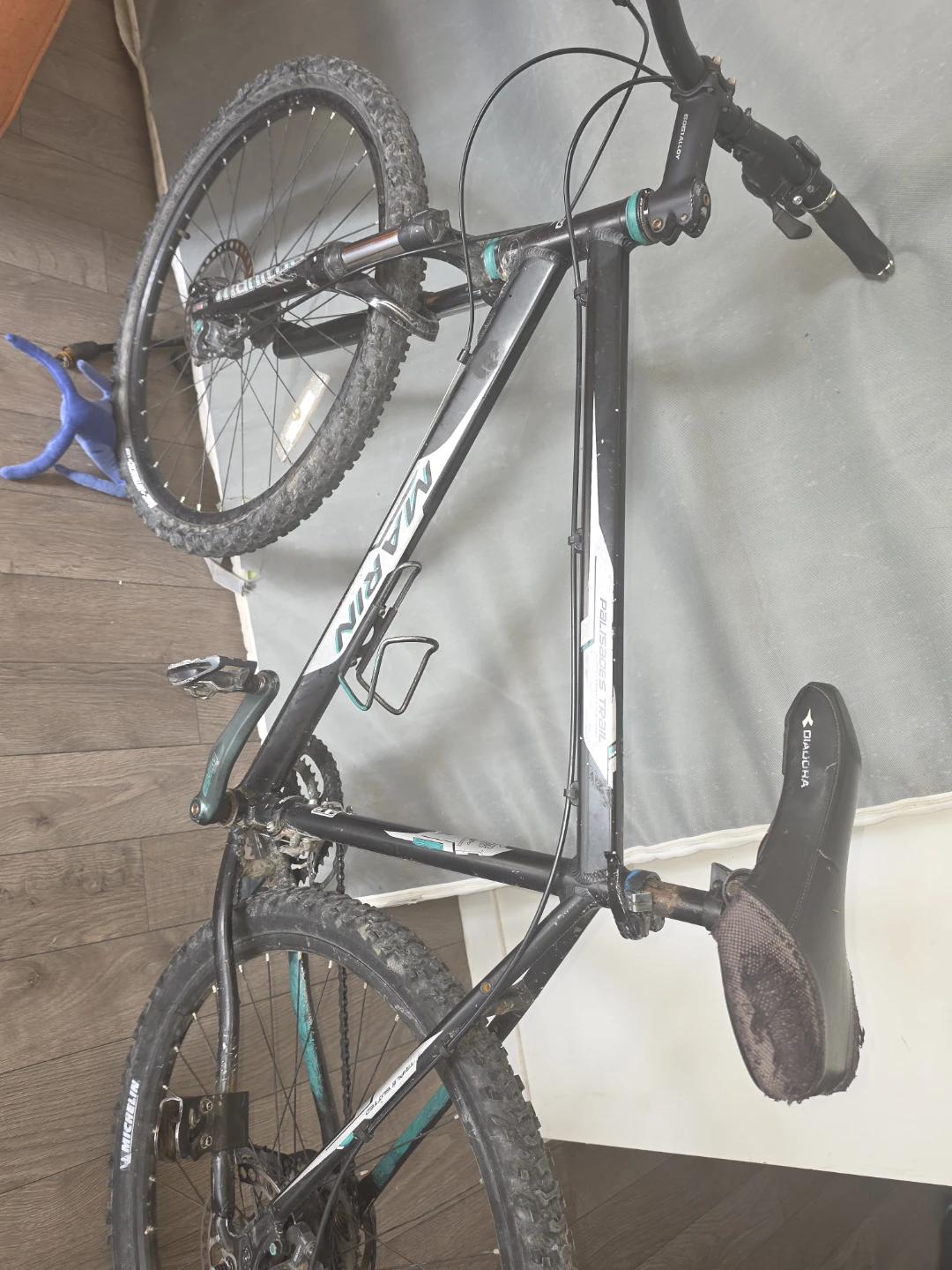 Marin Palasades Trail Mountain Bike