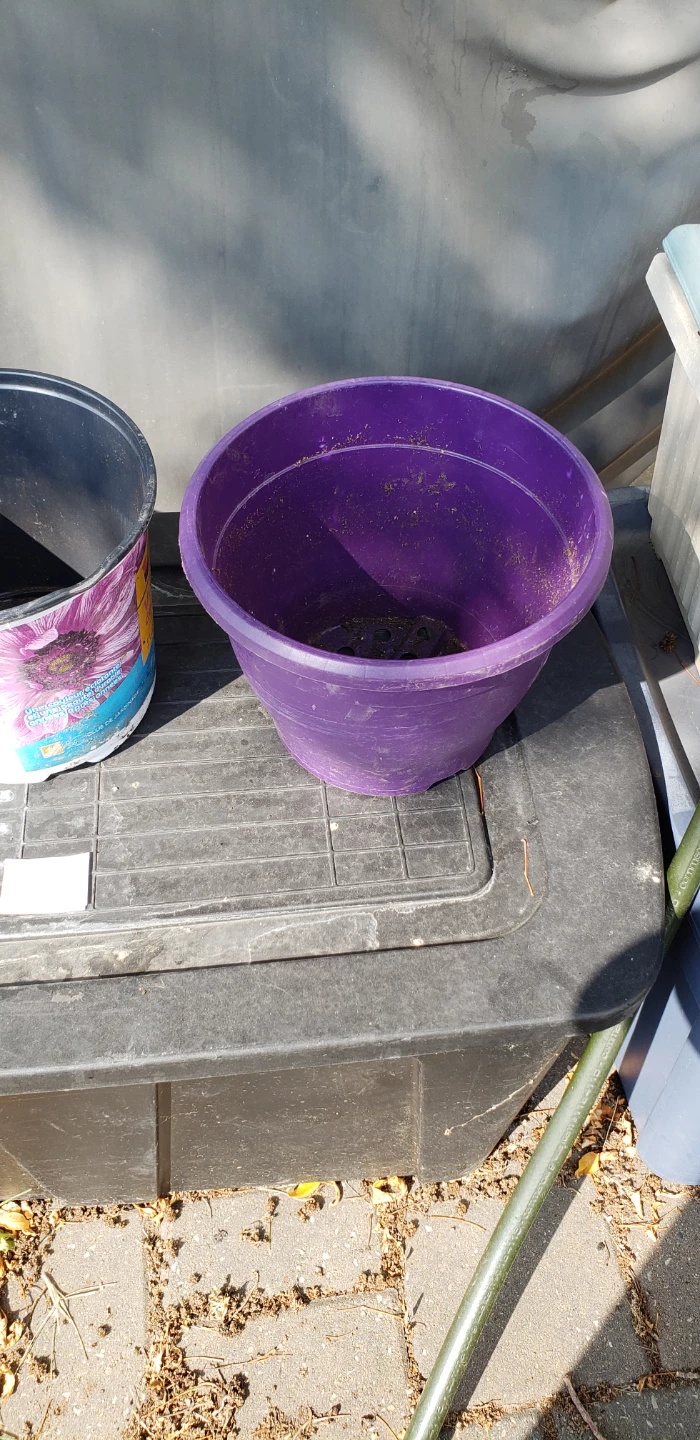 WANTED: Buyers for Assorted Plant Pots - photo 2