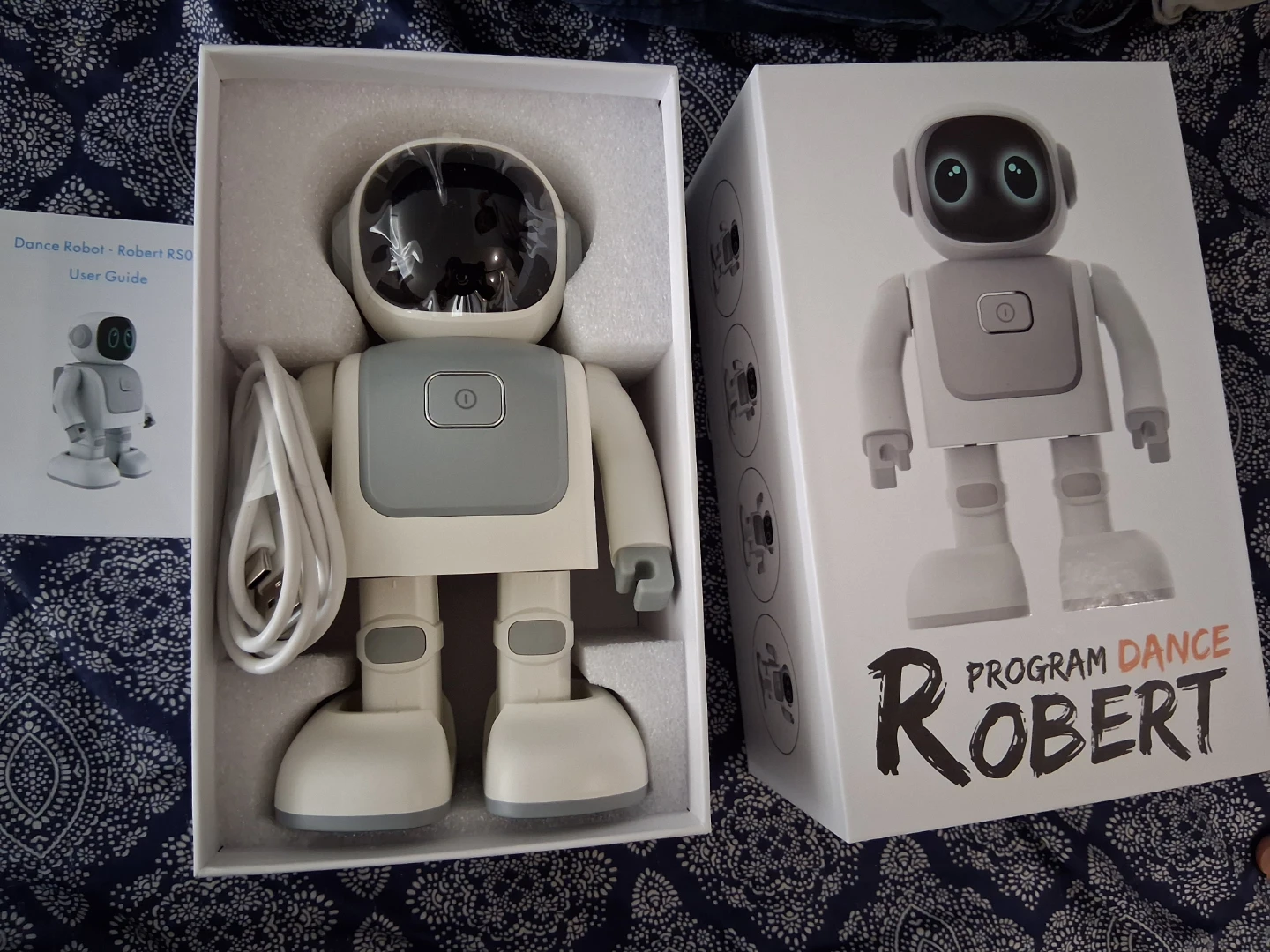 Program Dance Robert Robot RS0