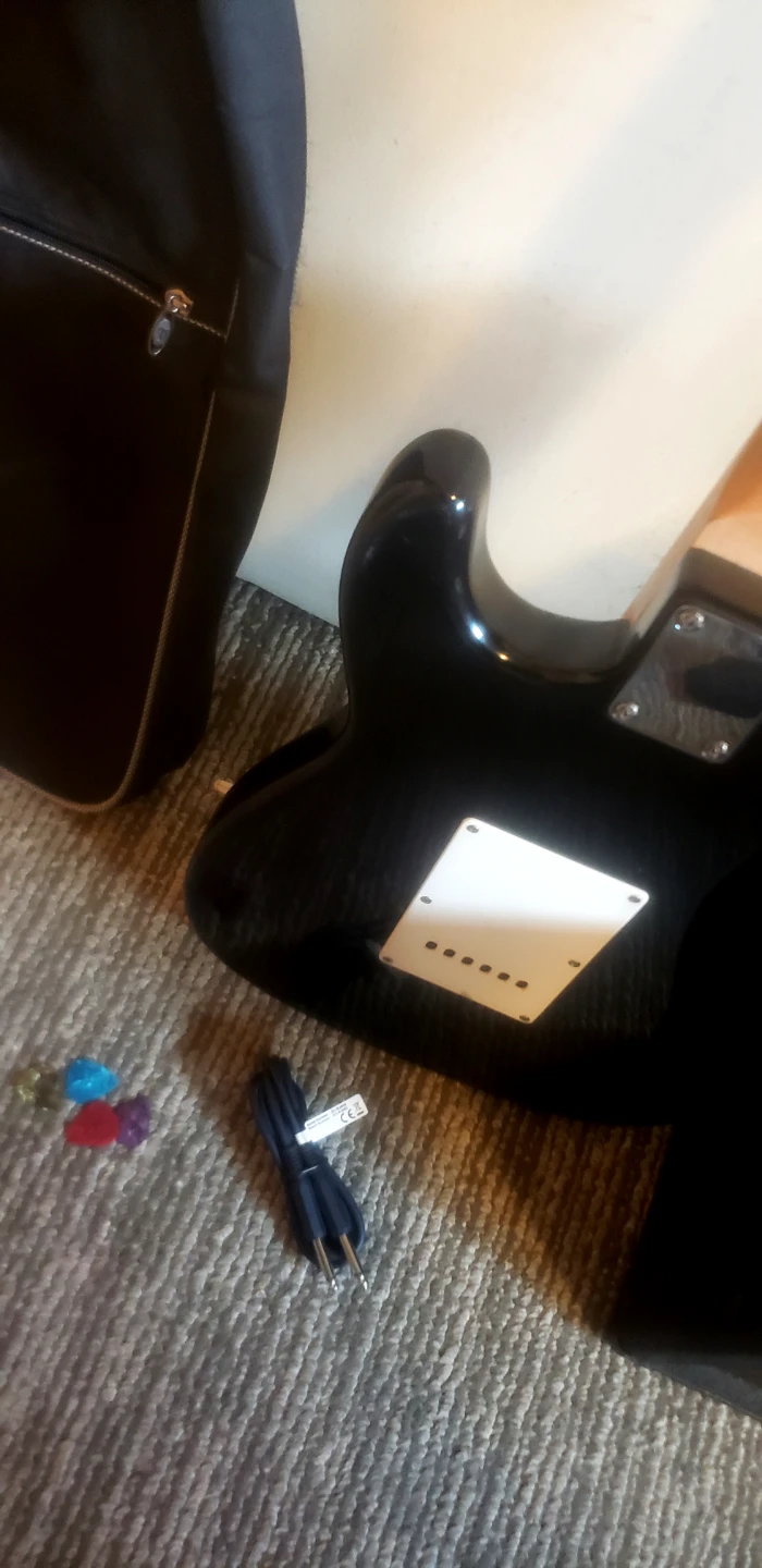 Silvertone Guitar with Amplifier and Gig Bag - photo 3