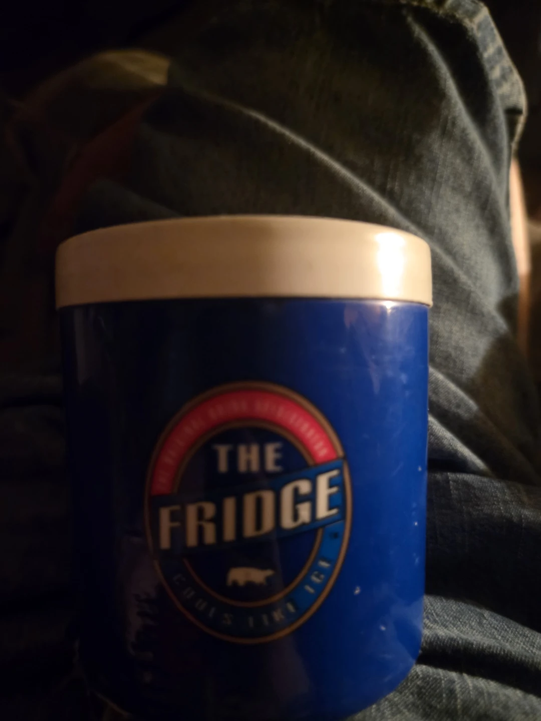 The Fridge Cooler