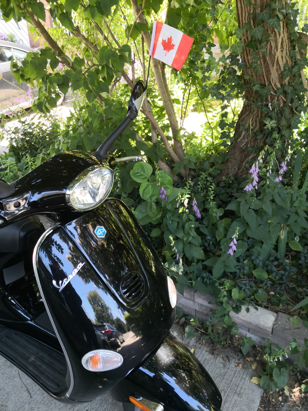 Vespa gas scooter