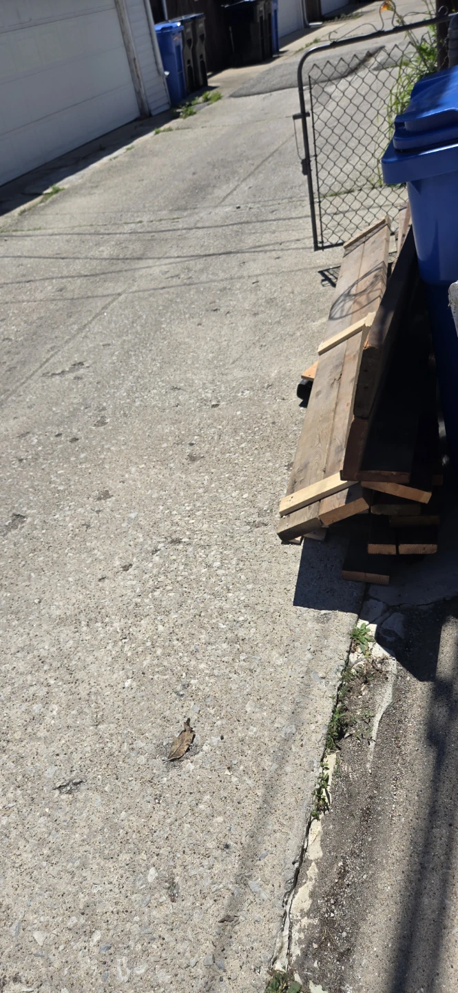 Wooden Pallet Sign - Girl Scout Promise - photo 3