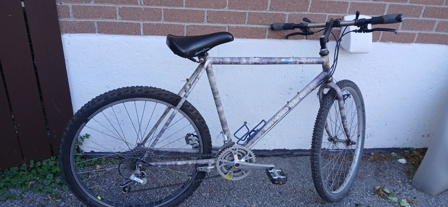APEX Mountain Bike