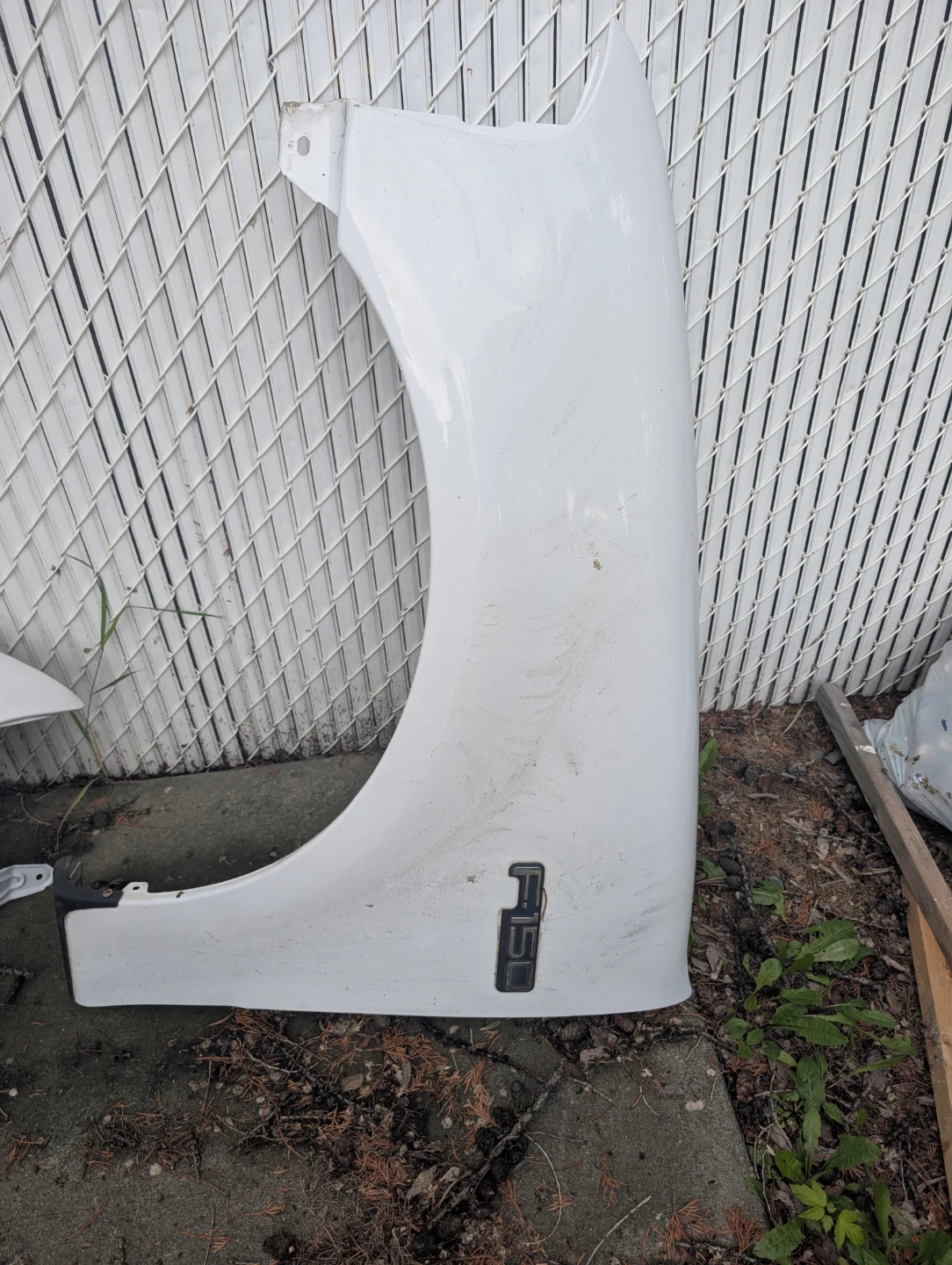 backyard cleanup !!! - photo 3