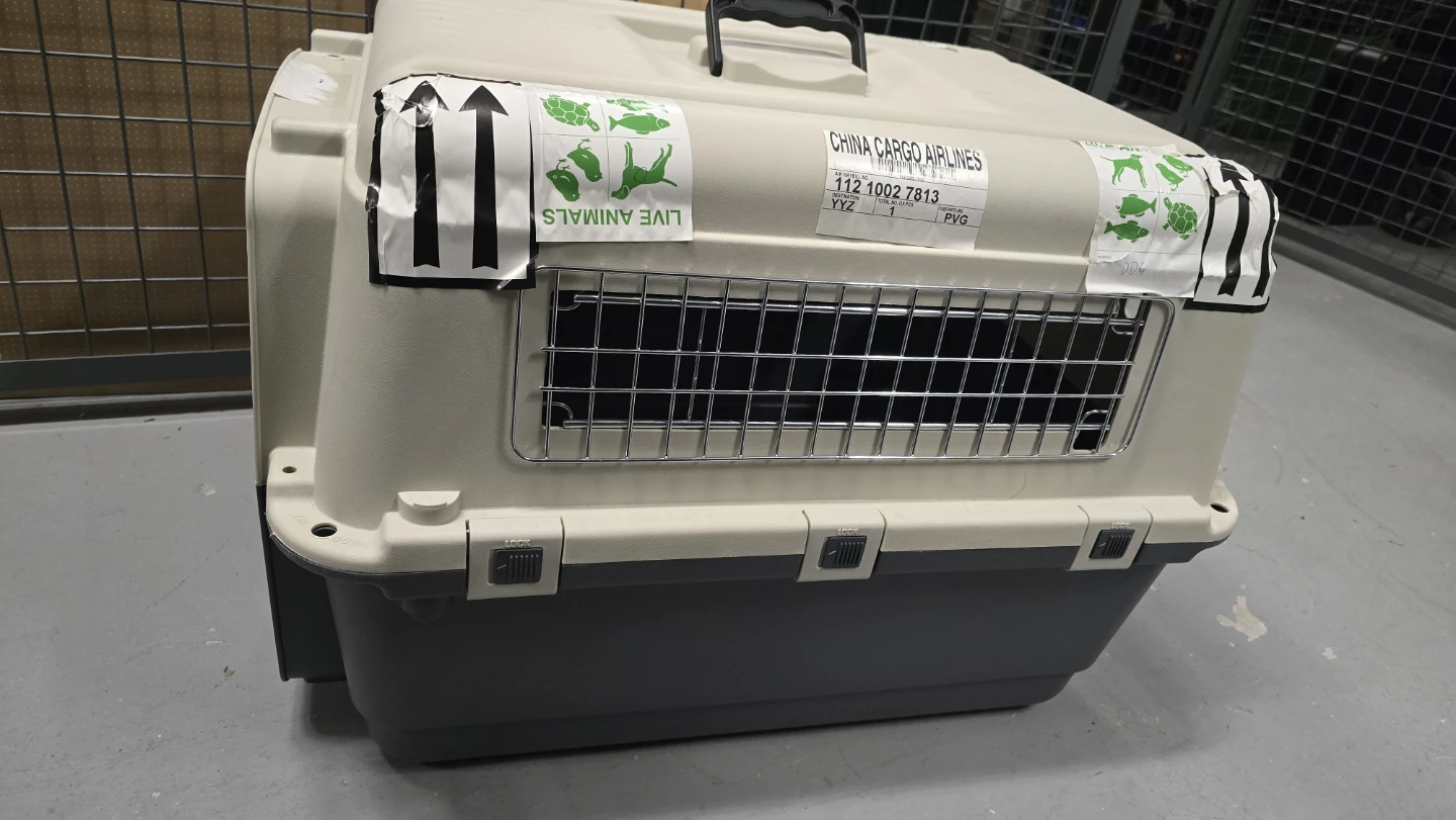 Pet Carrier - photo 3