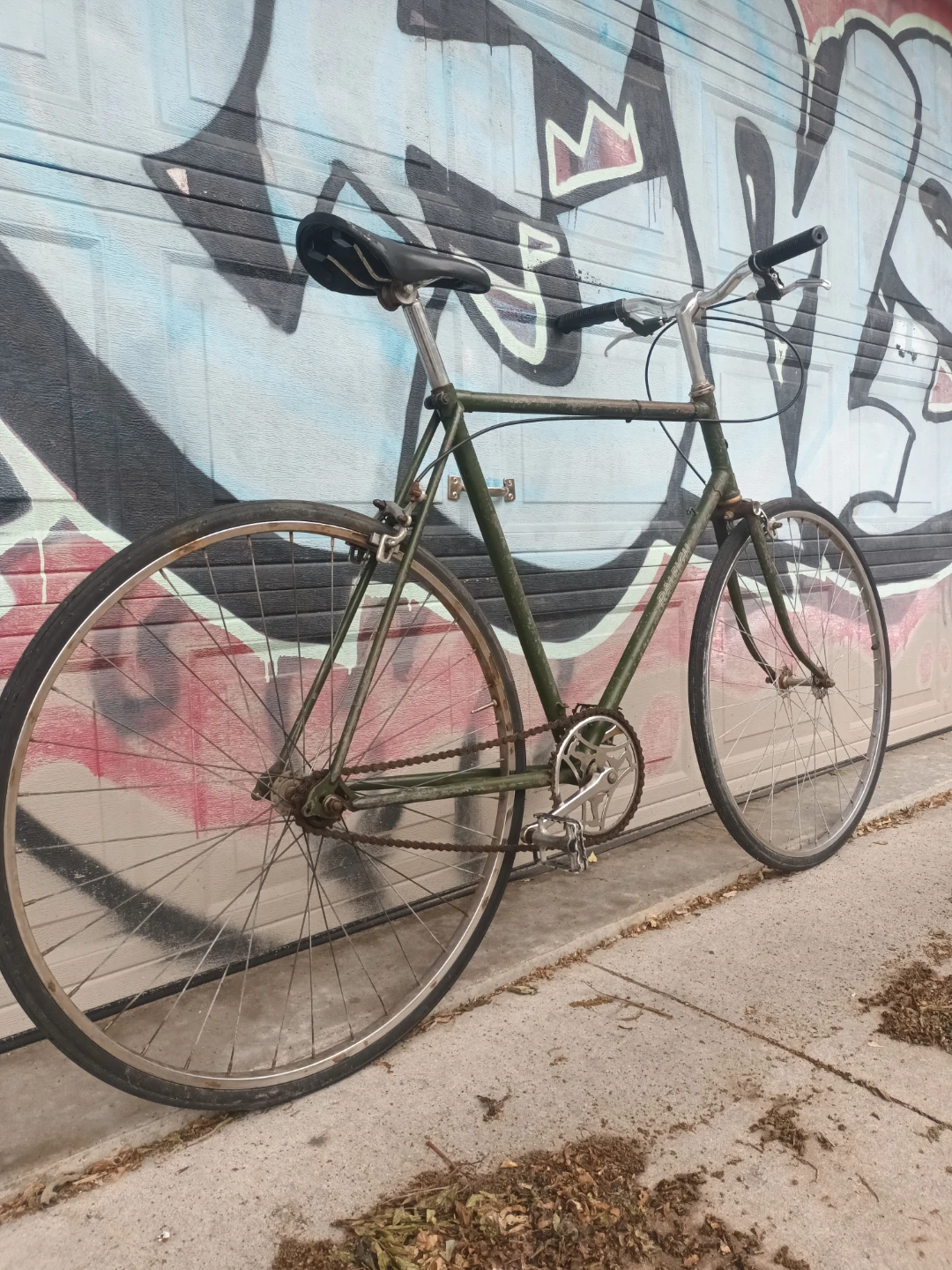 Single Speed Bike - photo 4