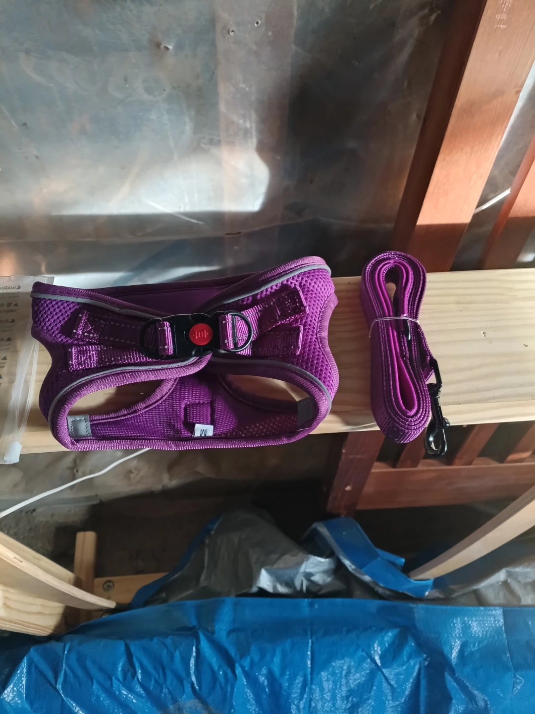 Bella & Pal Dog Harness and Leash Set - Purple - photo 3