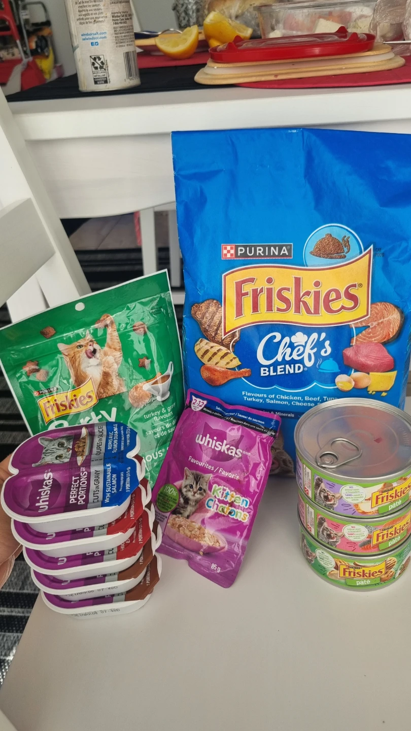 Purina Friskies Chef's Blend Dry Cat Food