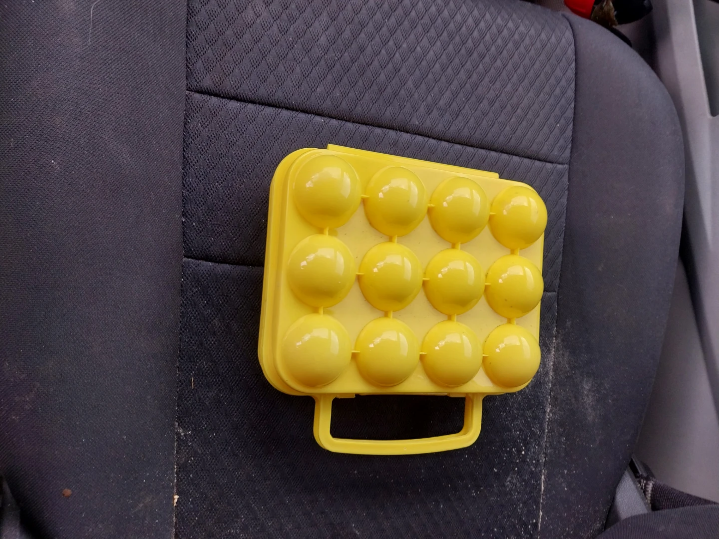 Yellow 12 Egg Carrier Case