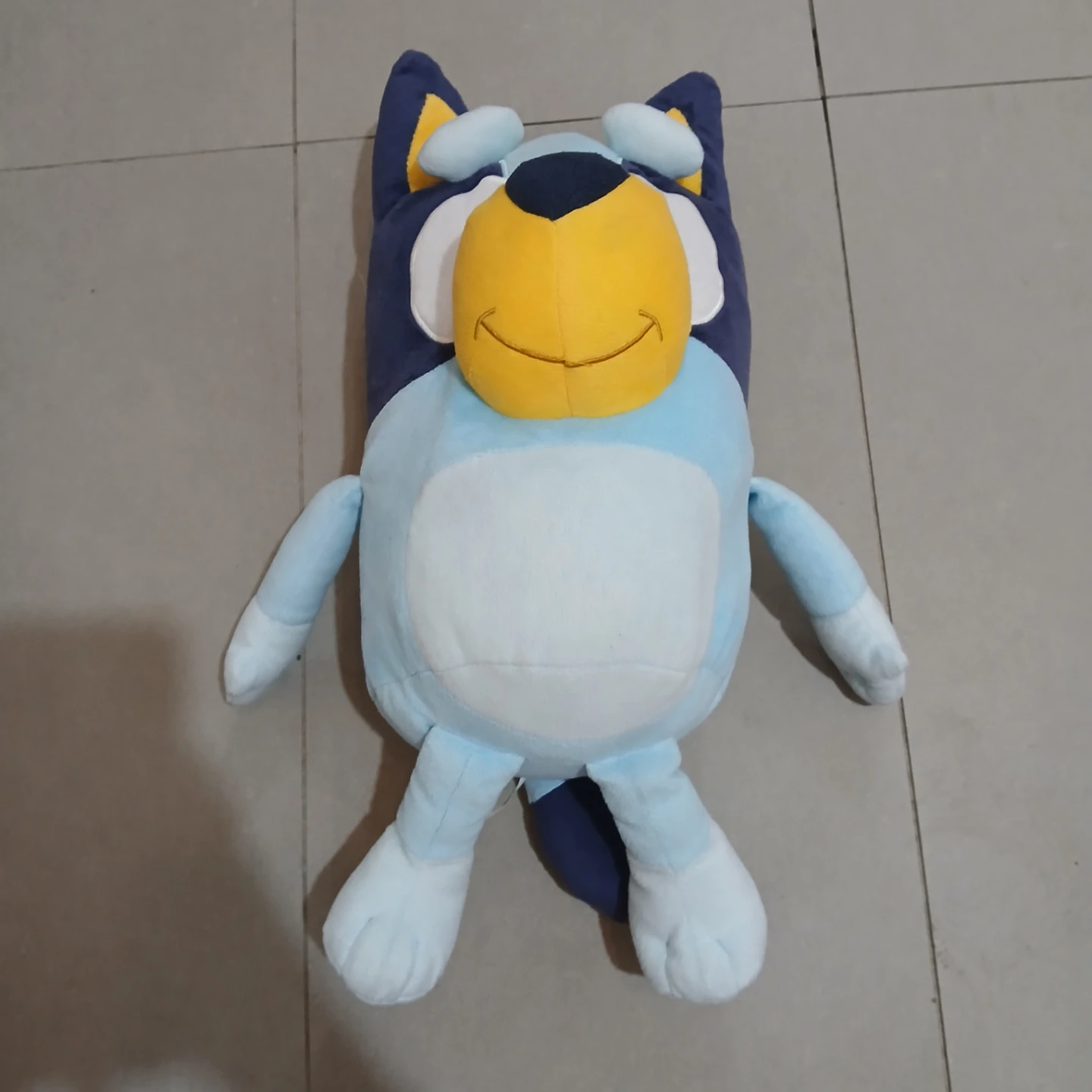 ⚽ Bluey Plush Toy