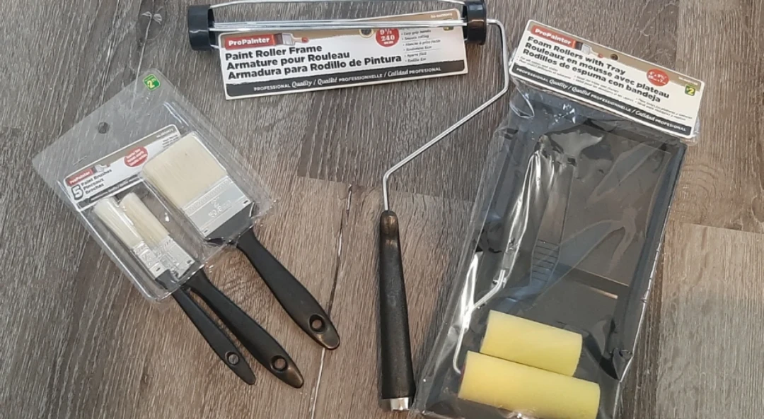 ProPainter Paint Roller Frame and Foam Rollers with Tray