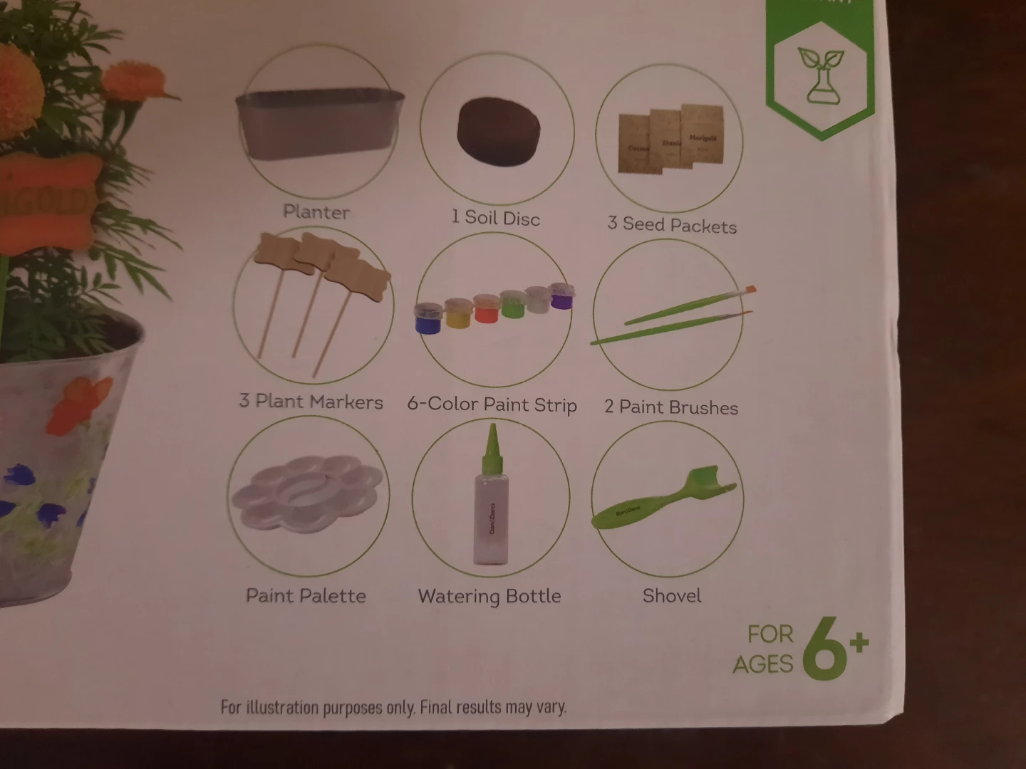 Paint & Plant Flower Growing Kit - photo 2