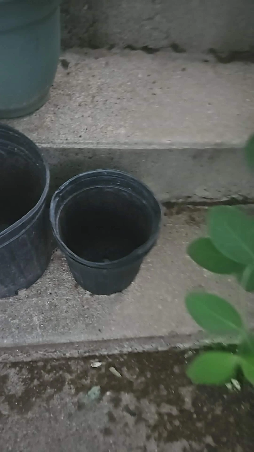 Plasti nursery pot ⚽️ - photo 2