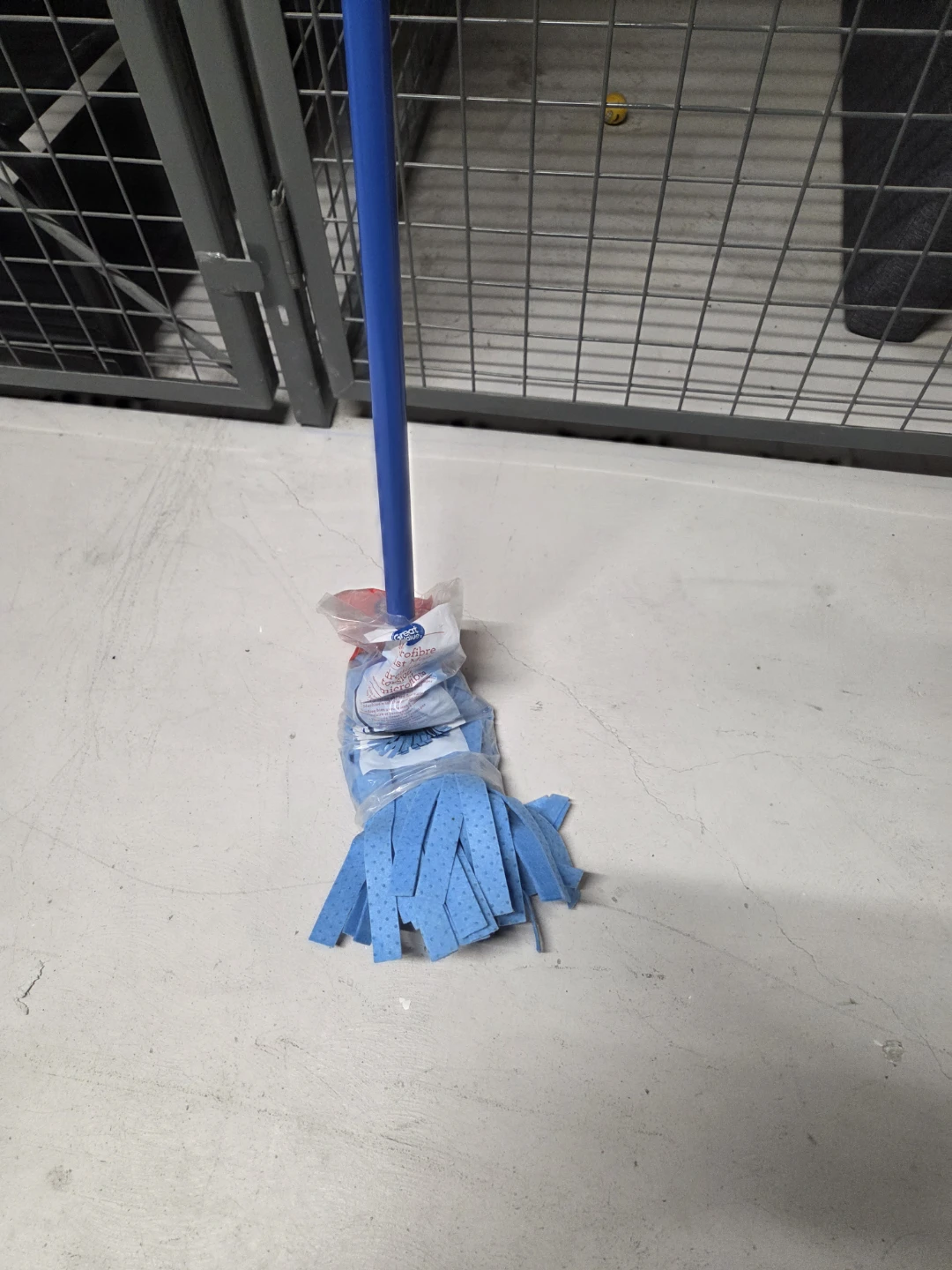 Blue Mop with Telescopic Handle