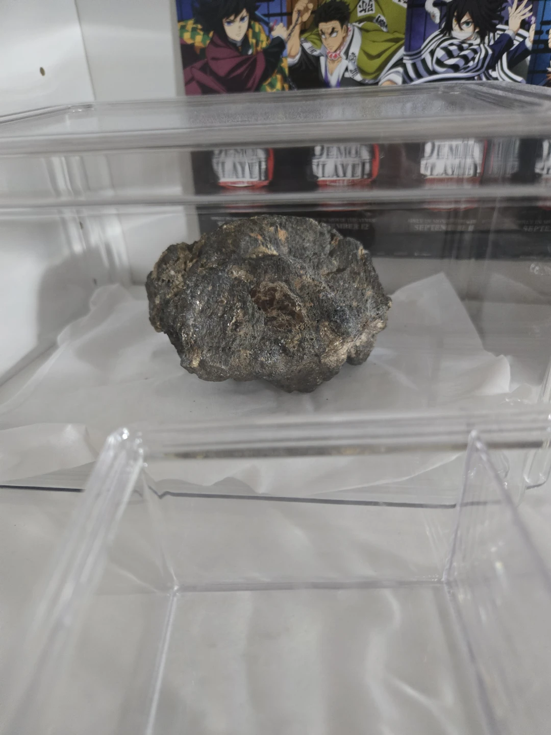 Martian Specimen (NWA 15364)