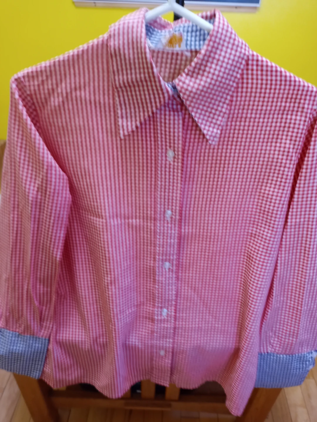Red and White Gingham Button-Up Shirt