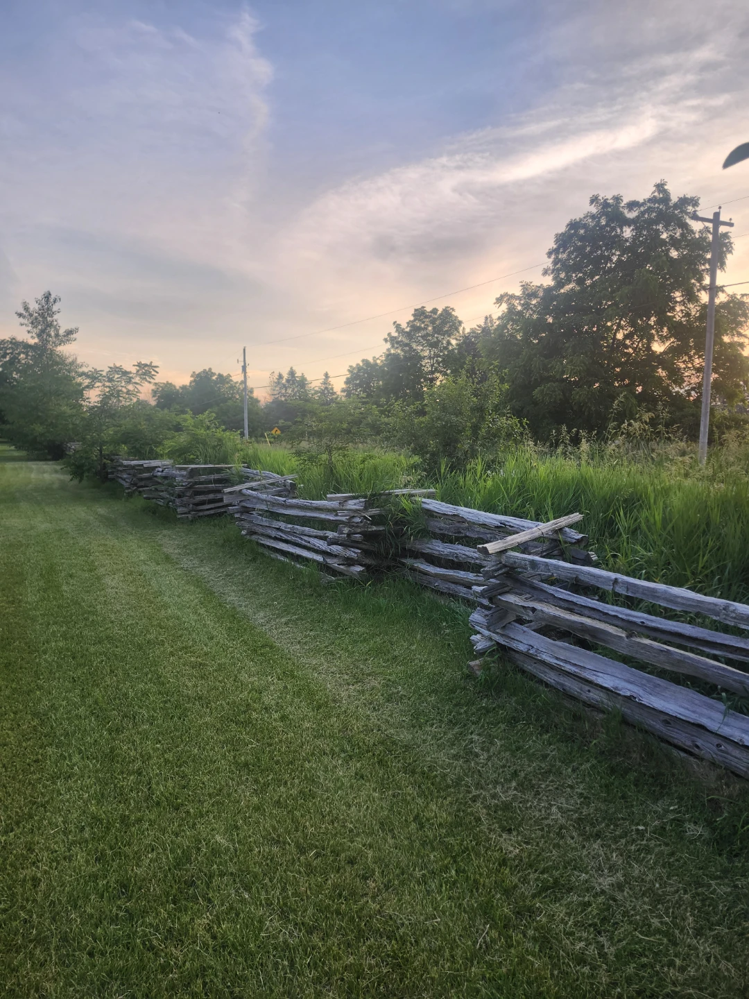 Authentic Cedar Fence Rails - photo 5
