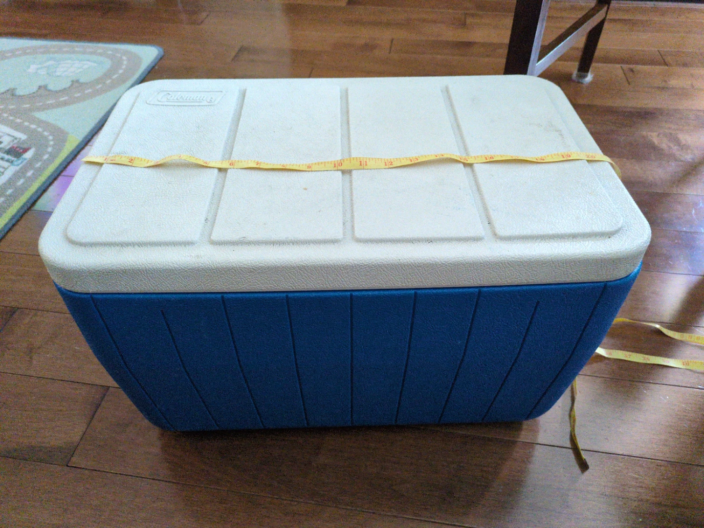 Coleman Cooler 21"x12"