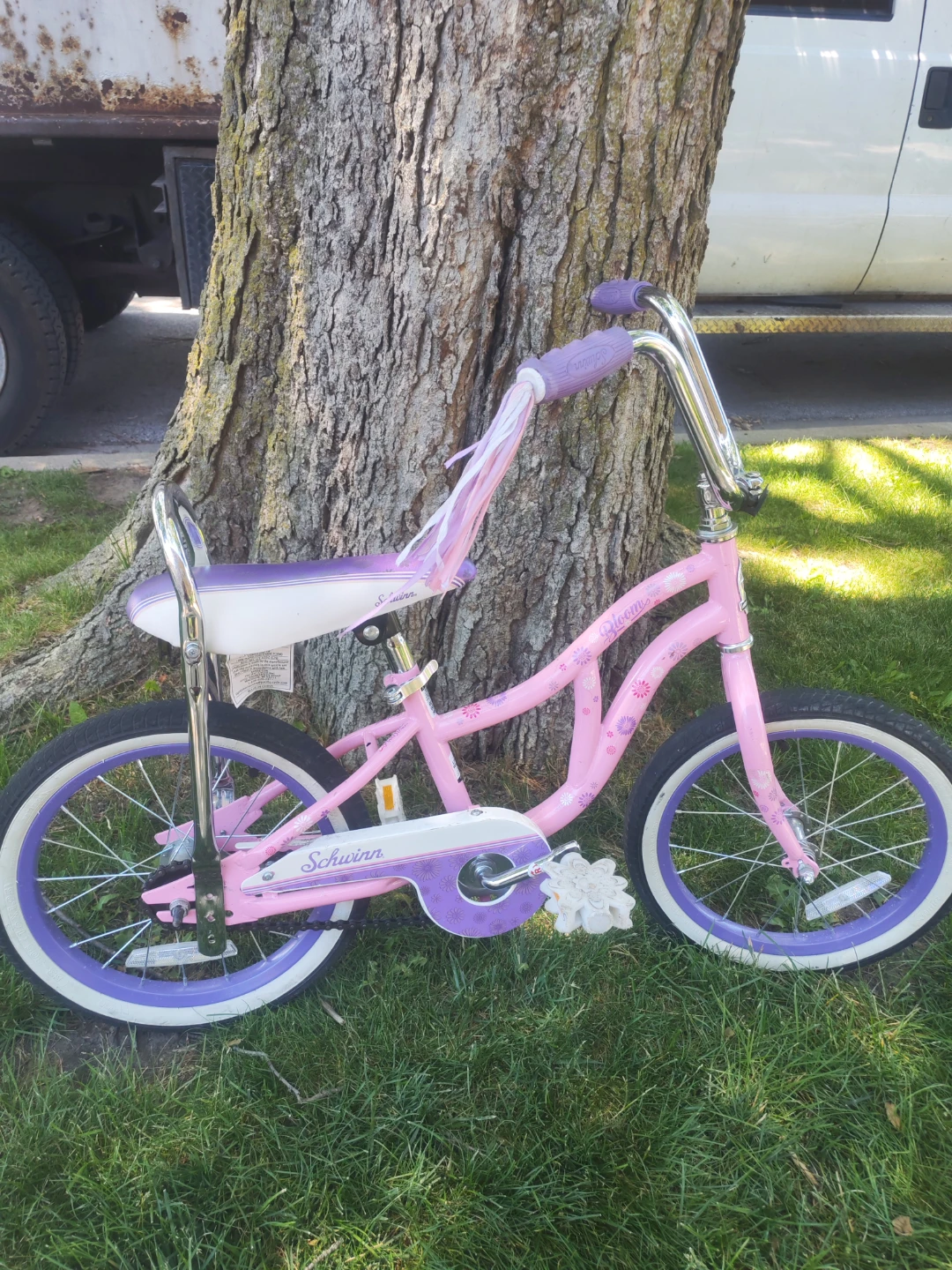 Girls Bicycle - photo 3