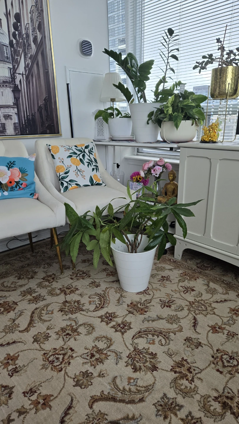 Money tree