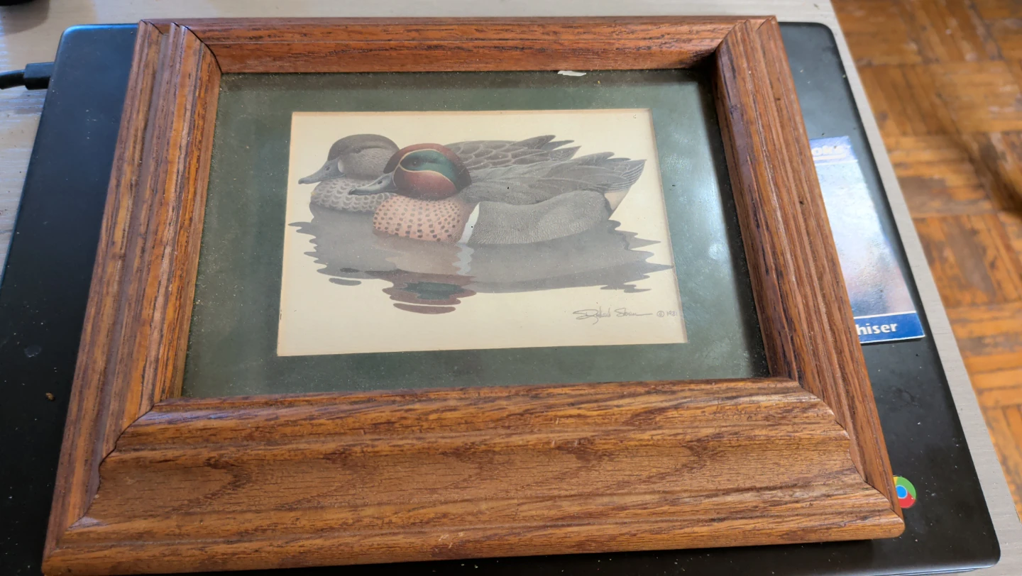 Framed Duck Print by Richard Storm ⚽- 1981 - photo 2