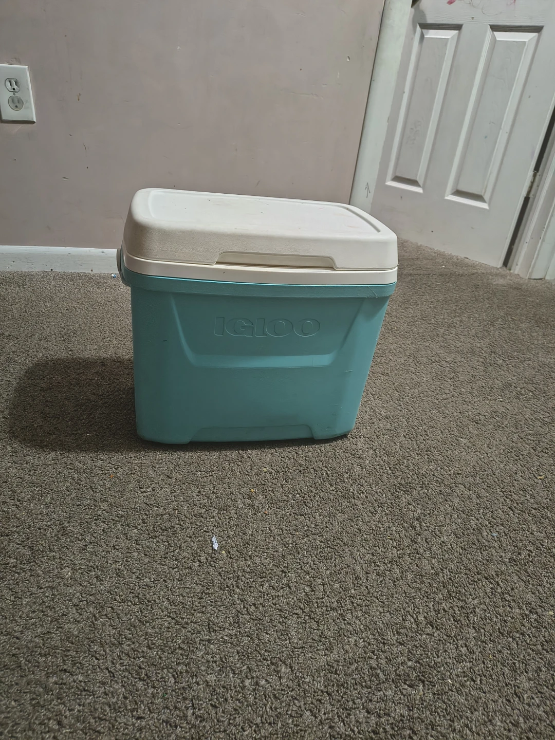 Igloo Cooler