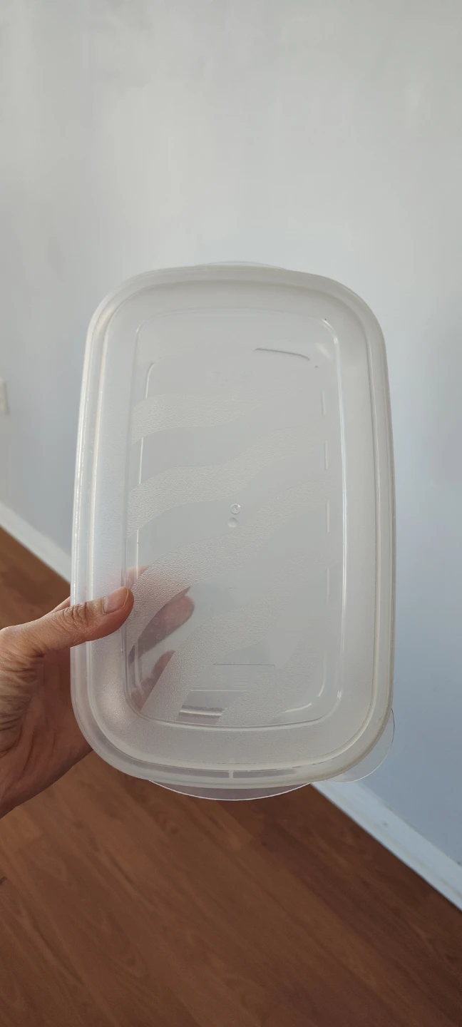 Clear Plastic Food Storage Container with Lid