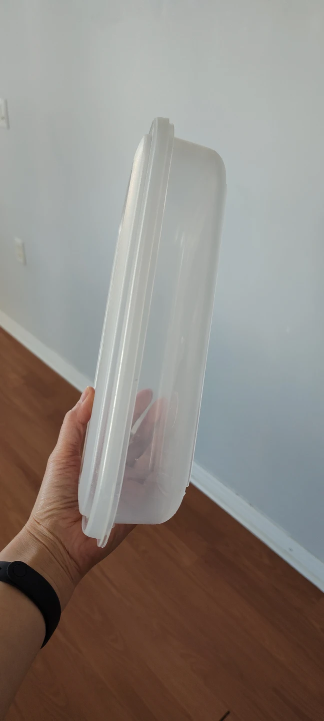 Clear Plastic Food Storage Container with Lid - photo 2